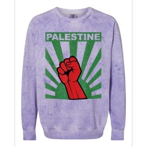 I Stand With Palestine For Their Freedom Free Palestine Colorblast Crewneck Sweatshirt