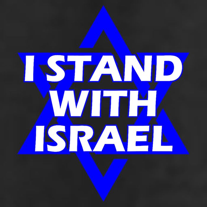I Stand With Israel Star Of David 7 Panel Mesh Trucker Snapback Hat