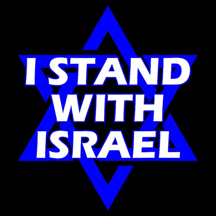 I Stand With Israel Star Of David 16 in Basic Backpack