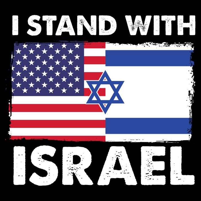 I Stand With Israel Usa Flag Women's Crop Top Tee