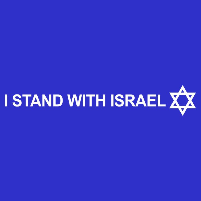 I Stand With Israel Women's V-Neck T-Shirt