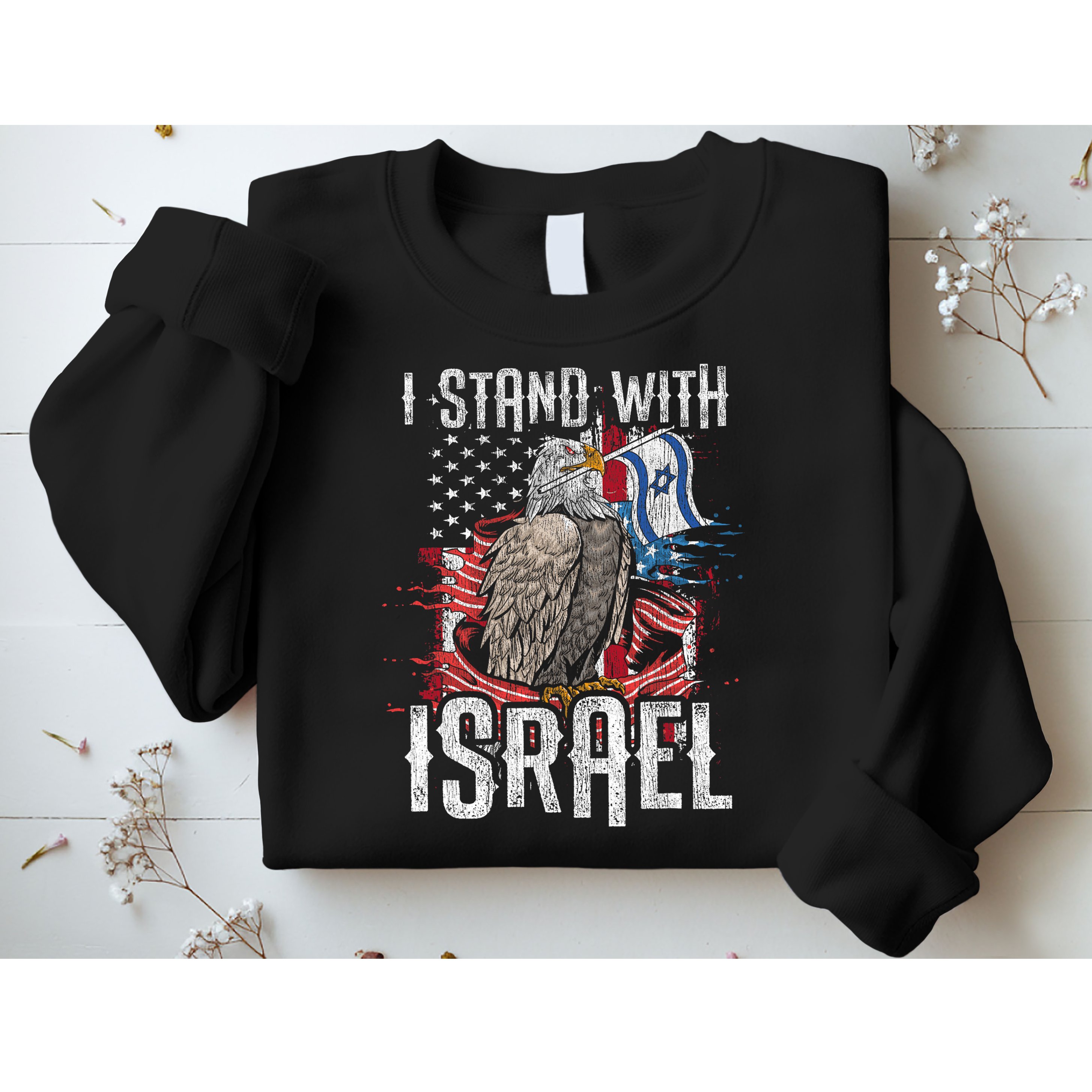 I Stand With Israel Vintage Eagle Us Flag Sweatshirt