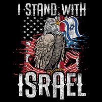 I Stand With Israel Vintage Eagle Us Flag Womens T-Shirt