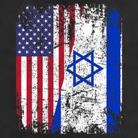 I Stand With Israel Usa American Flag W/ Israel Flag Adult Drive Performance Visor