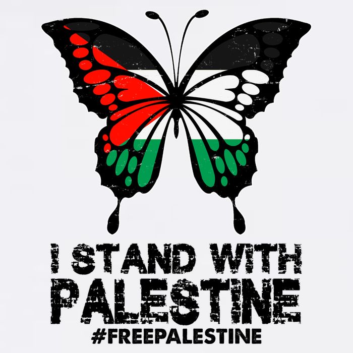 I Stand With Palestine Free Palestine Butterfly Wool Snapback Cap