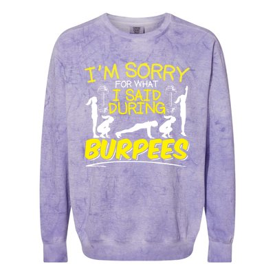 I'm Sorry What I Said During Burpees Burpee Gift Colorblast Crewneck Sweatshirt