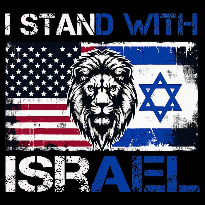 I Stand With Israel US Support Lion Love Israeli Brotherhood Hoodie