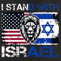 I Stand With Israel US Support Lion Love Israeli Brotherhood Hat