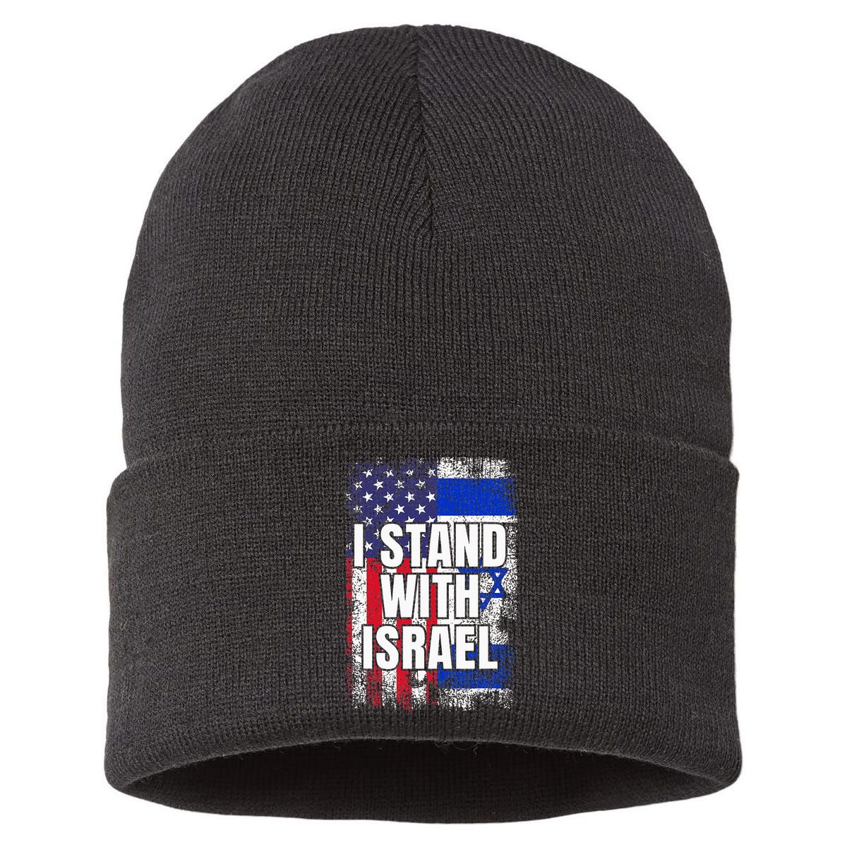 I Stand With Israel USA Israeli Flag Sustainable Knit Beanie