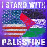 I Stand With Palestine Us Flag Palestinians Flag Button