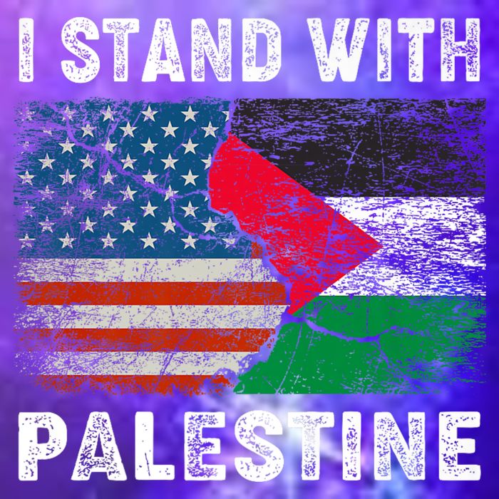 I Stand With Palestine Us Flag Palestinians Flag Button