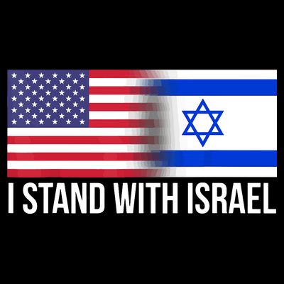 I Stand With Israel Usa Israeli Flag Jewish T-Shirt