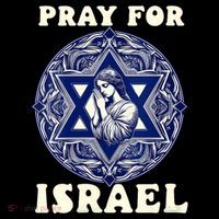 I Stand With Israel Support Israel Strong Pray For Israel Free Flatbill Hat