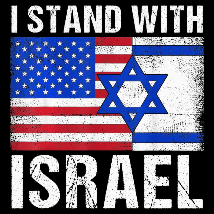 I Stand With Israel Patriotic T shirt USA and Israel Flag T-Shirt