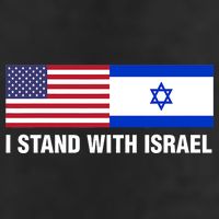 I Stand With Israel American Flag Israeli Flag Adult Drive Performance Visor