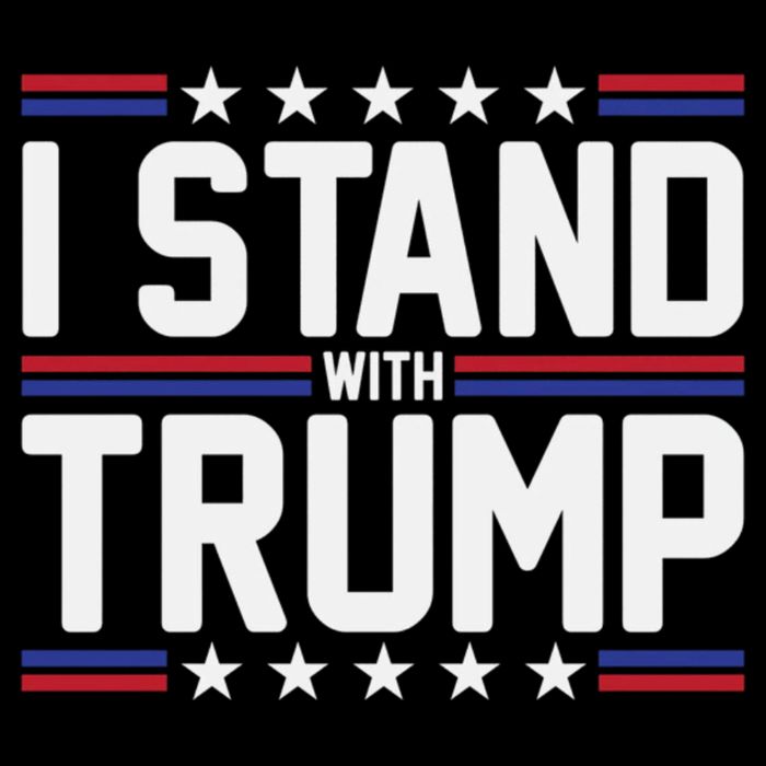 I Stand With Trump Cropped Pullover Crew