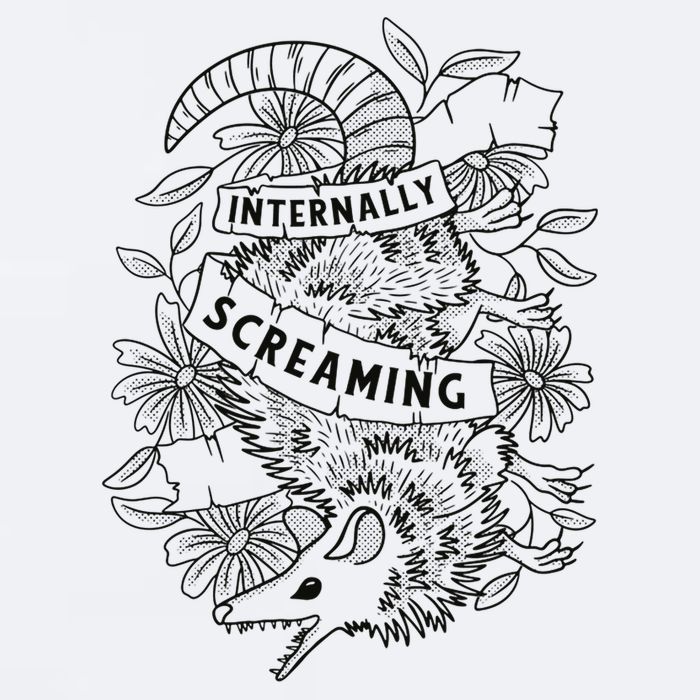 Internally Screaming Weird Sarcastic Funny Opossum Possum Sueded Cloud Jersey T-Shirt