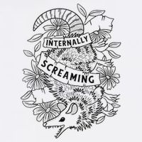 Internally Screaming Weird Sarcastic Funny Opossum Possum Toddler T-Shirt