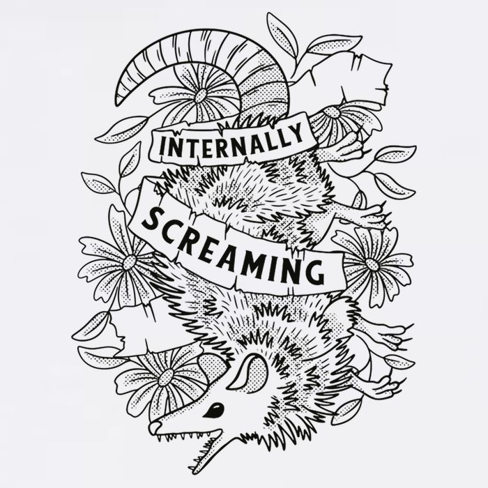 Internally Screaming Weird Sarcastic Funny Opossum Possum Toddler T-Shirt