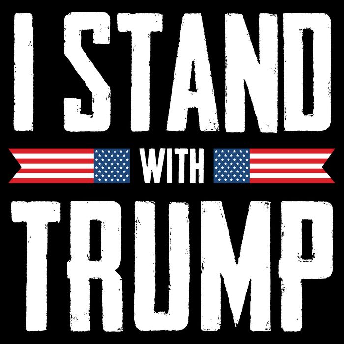 I Stand With Trump 2024 Hoodie