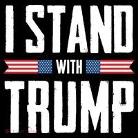 I Stand With Trump 2024 Premium T-Shirt