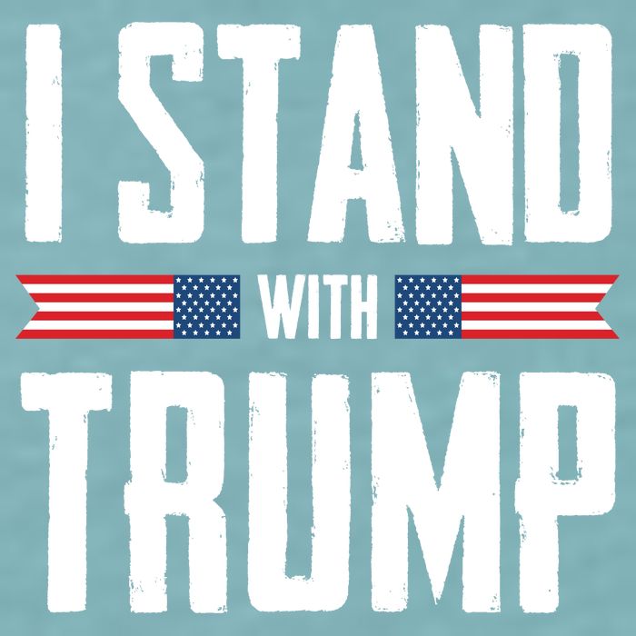 I Stand With Trump 2024 Sueded Cloud Jersey T-Shirt