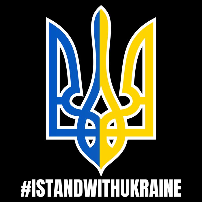 I Stand With Ukraine Flag Support Free Ukrainians Backpack