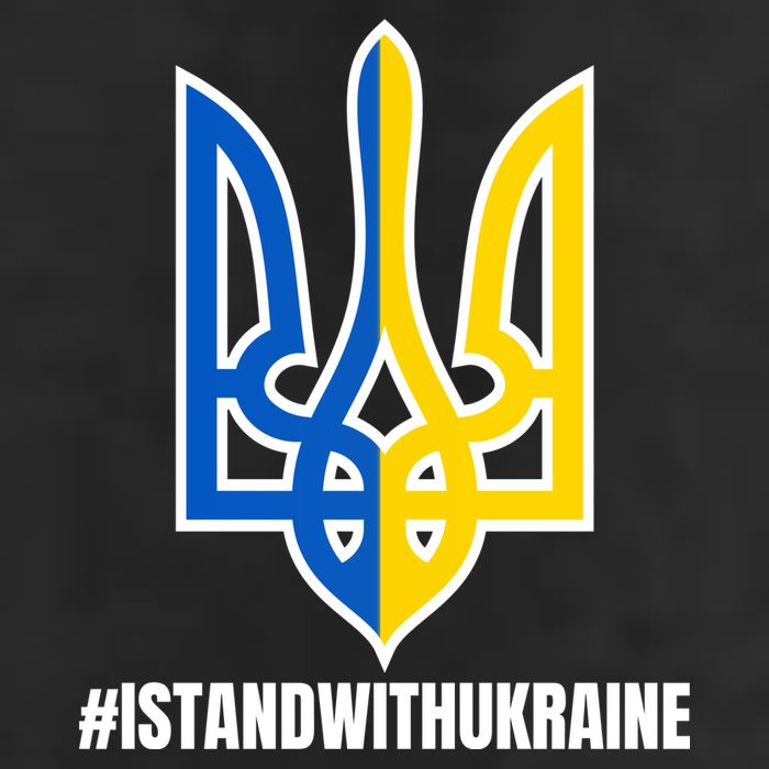 I Stand With Ukraine Flag Support Free Ukrainians Hat