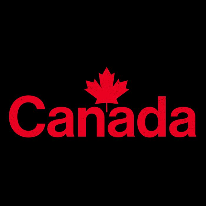 I Stand With Je Soutiens Le Canada English French Mug