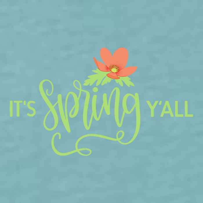 It's Spring Y'all Flower Sueded Cloud Jersey T-Shirt