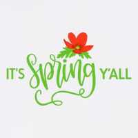 It's Spring Y'all Flower USA-Made Doggie Bandana