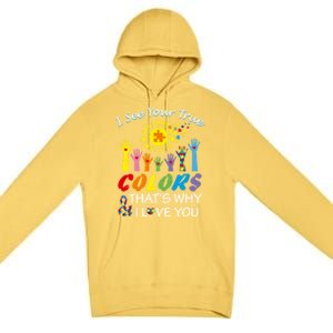 I See Your True Colors Hands Autism Awareness Gift Puzzle Gift Premium Pullover Hoodie