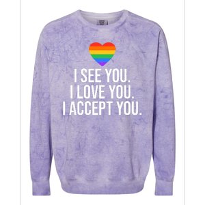 I See You I Love You I Accept You LGBTQ Pride Month Colorblast Crewneck Sweatshirt