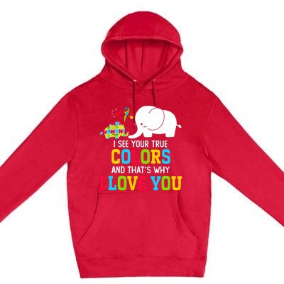 I See Your True Colors, Puzzle World Autism Awareness Month Premium Pullover Hoodie