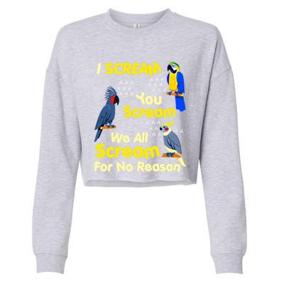 I Scream You Scream Funny Parrot Cool Gift Cropped Pullover Crew