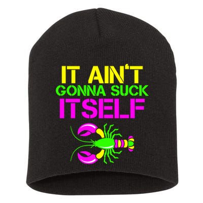 It Ain't Gonna Suck Itself Mardi Gras Short Acrylic Beanie