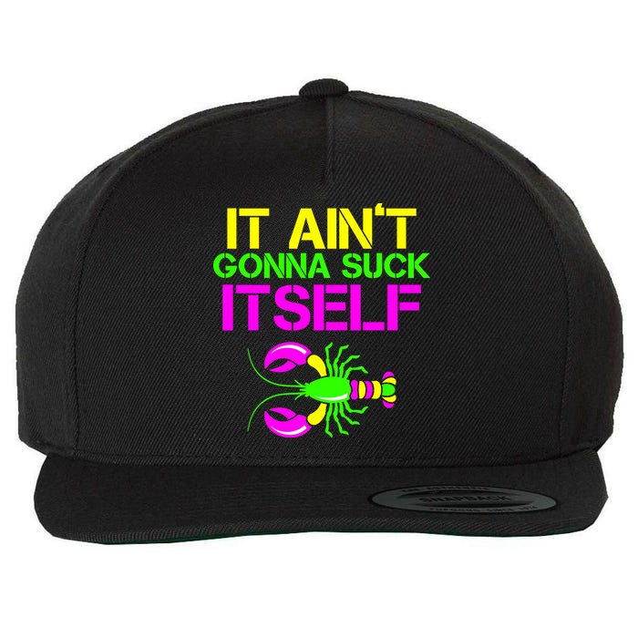 It Ain't Gonna Suck Itself Mardi Gras Wool Snapback Cap