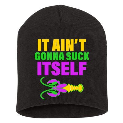 It Ain't Gonna Suck Itself Offensives Mardi Gras Short Acrylic Beanie