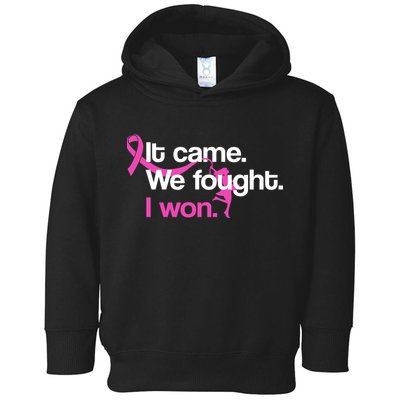 It Came We Fought I Won Breast Cancer Toddler Hoodie