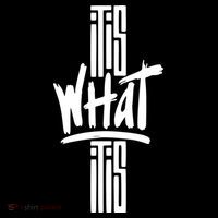 It Is What It Is Cool Style Cooling Performance Crew T-Shirt