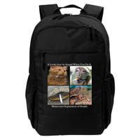 It Looks Just As Stupid When You Do It Backpack