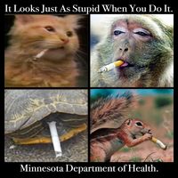 It Looks Just As Stupid When You Do It Backpack