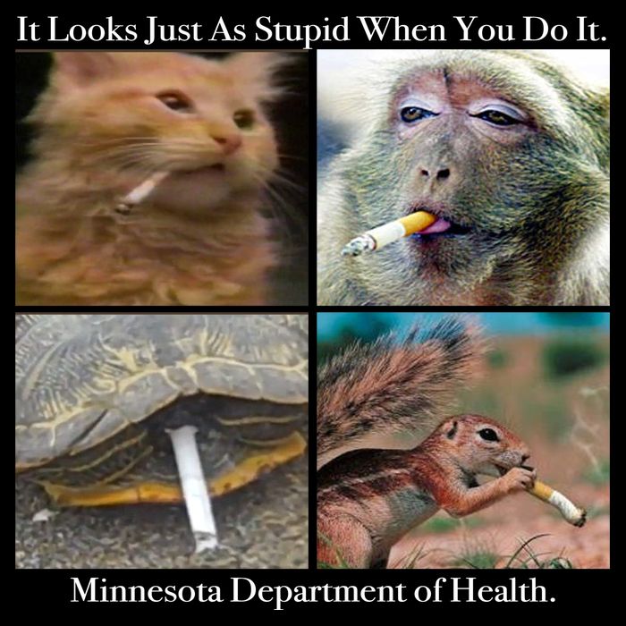 It Looks Just As Stupid When You Do It Backpack