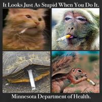 It Looks Just As Stupid When You Do It Hat