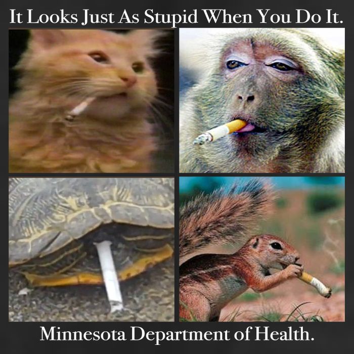 It Looks Just As Stupid When You Do It Hat