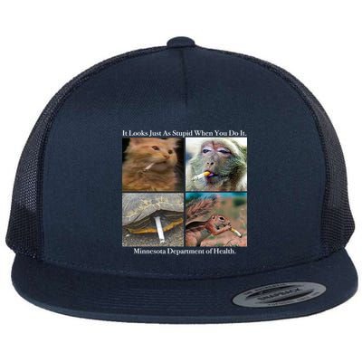 It Looks Just As Stupid When You Do It Flatbill Hat