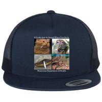 It Looks Just As Stupid When You Do It Flatbill Hat