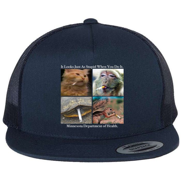 It Looks Just As Stupid When You Do It Flatbill Hat