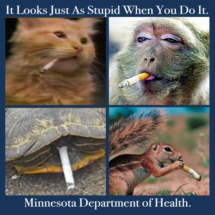 It Looks Just As Stupid When You Do It Flatbill Hat