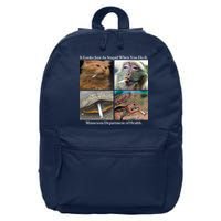 It Looks Just As Stupid When You Do It 16 in Basic Backpack